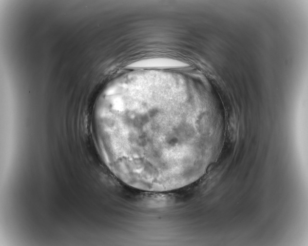 X0000085750330200704091320