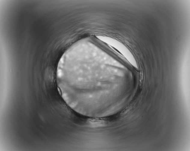 X0000085750331200704091320