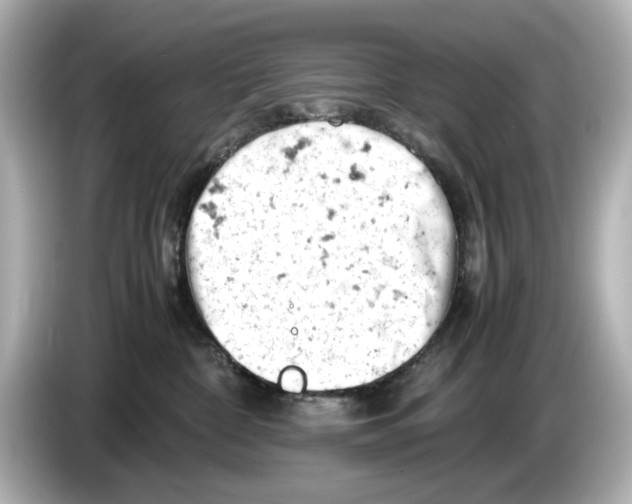 X0000085750332200704091320