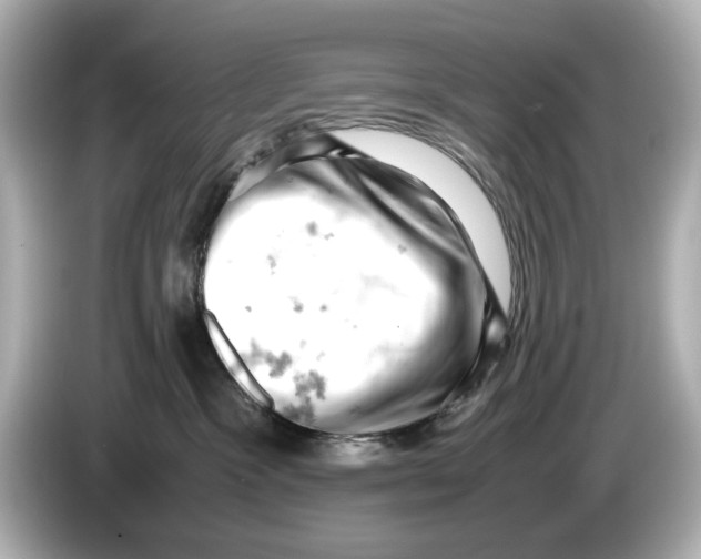 X0000085750333200704091320