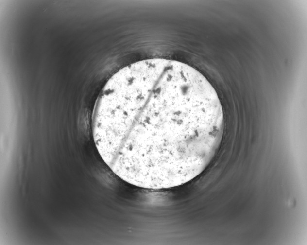 X0000085750336200704091320