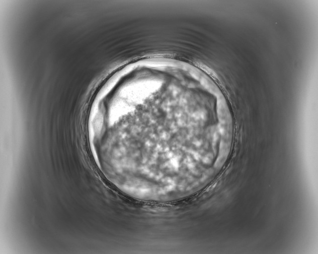 X0000085750337200704091320