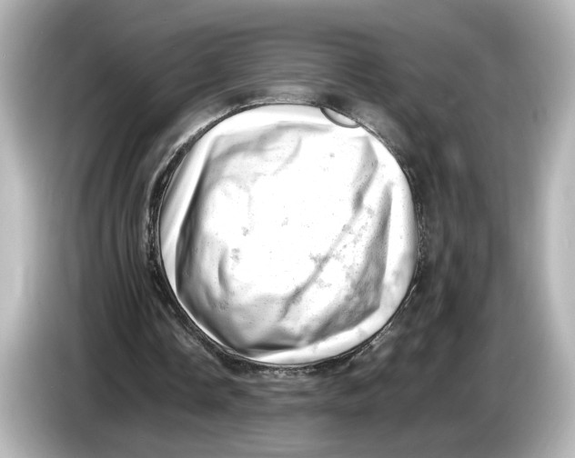 X0000085750338200704091320