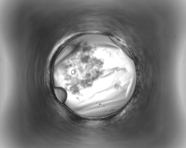 X0000085750342200704091320