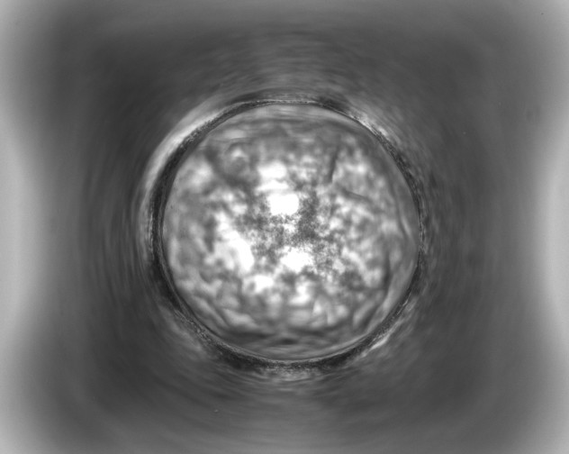 X0000085750343200704091320