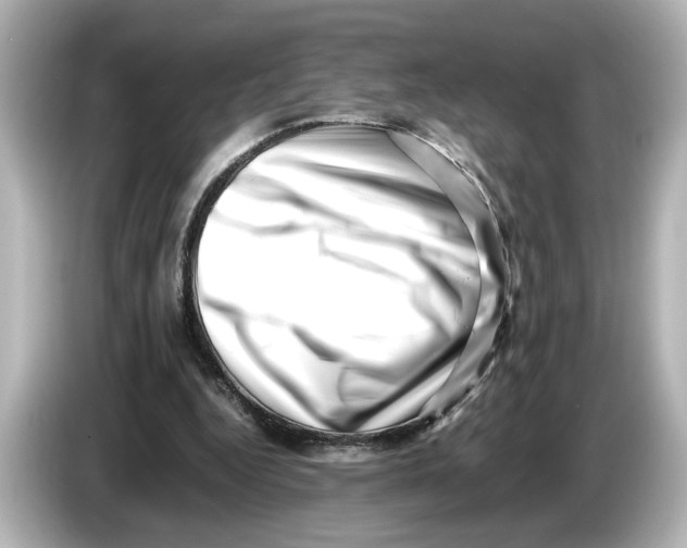 X0000085750344200704091320