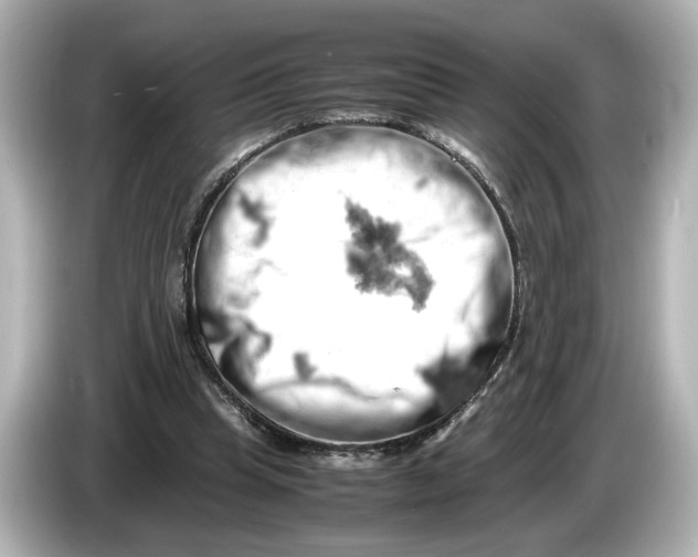 X0000085750345200704091320