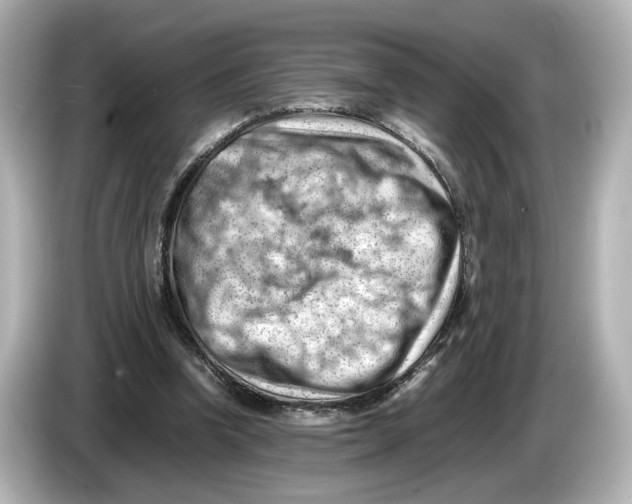 X0000085750346200704091320