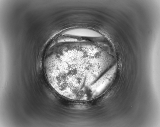 X0000085750347200704091320