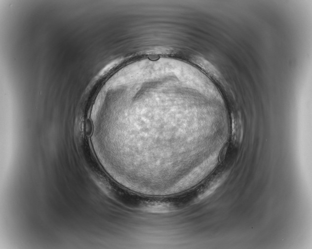 X0000085750348200704091320