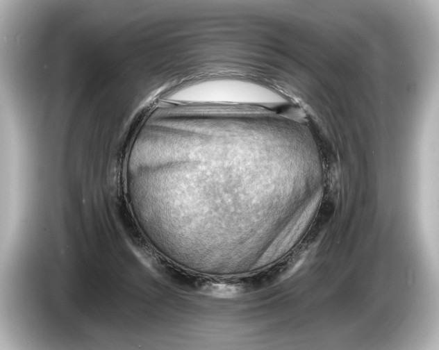 X0000085750352200704091320