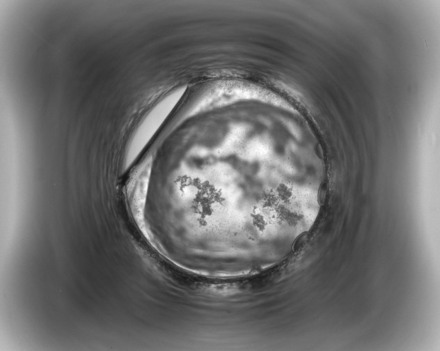 X0000085750353200704091320