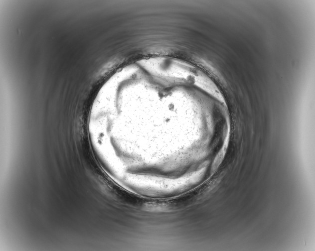 X0000085750354200704091320