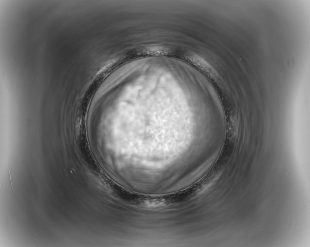 X0000085750355200704091320