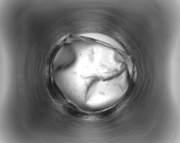 X0000085750356200704091320