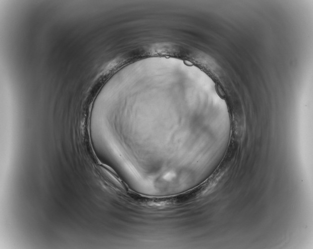 X0000085750357200704091320