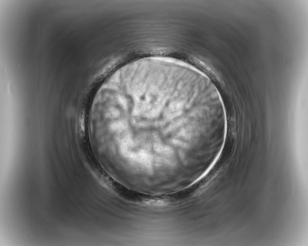 X0000085750358200704091320