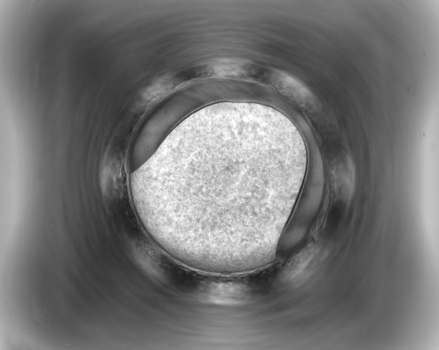 X0000085750360200704091320