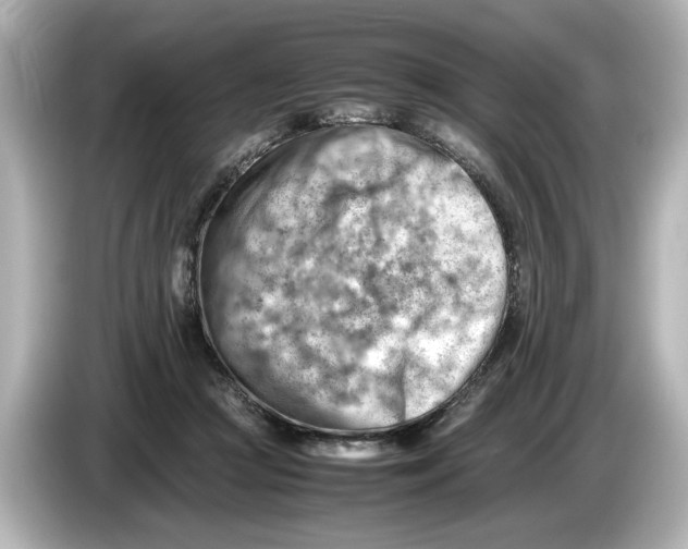 X0000085750361200704091320