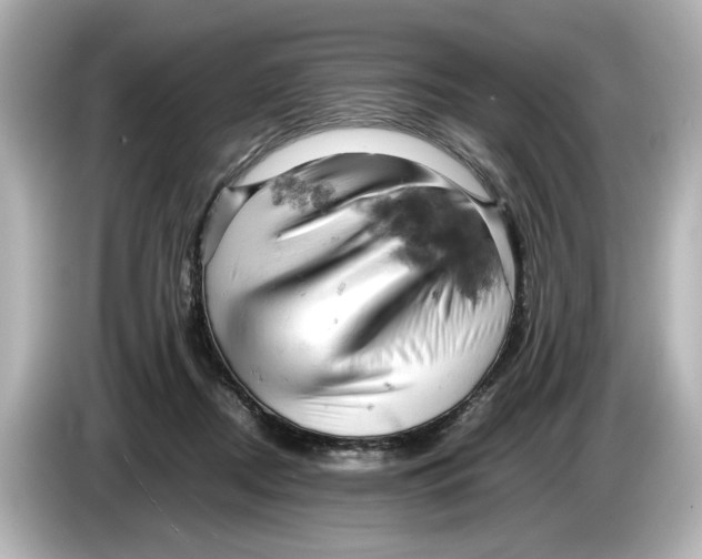 X0000085750362200704091320