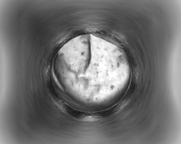 X0000085750364200704091320