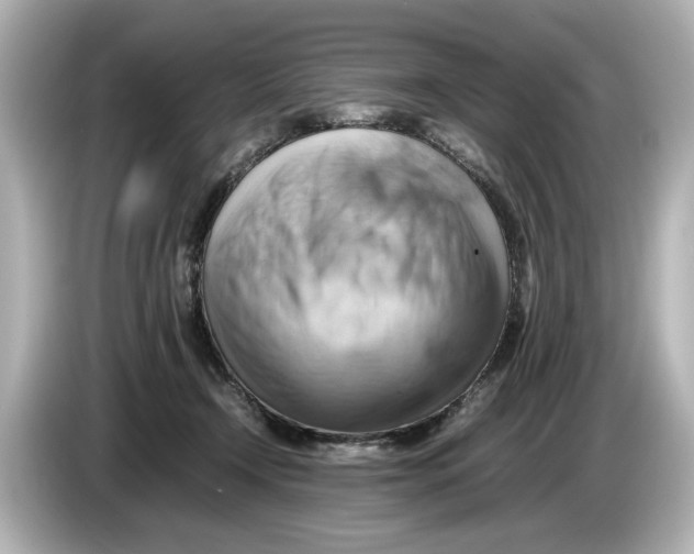 X0000085750366200704091320