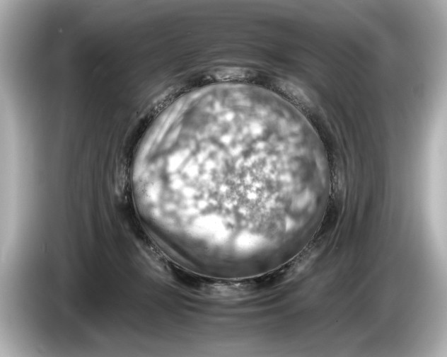 X0000085750367200704091320