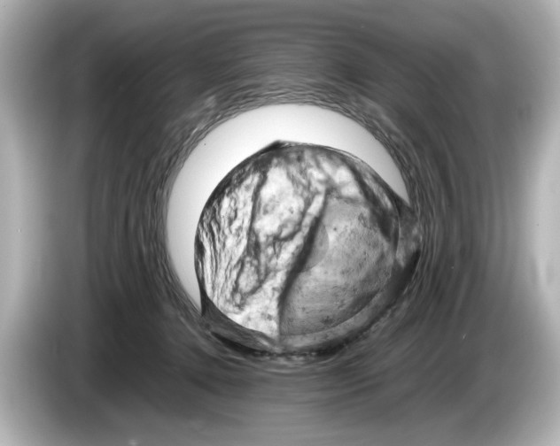 X0000085750368200704091320