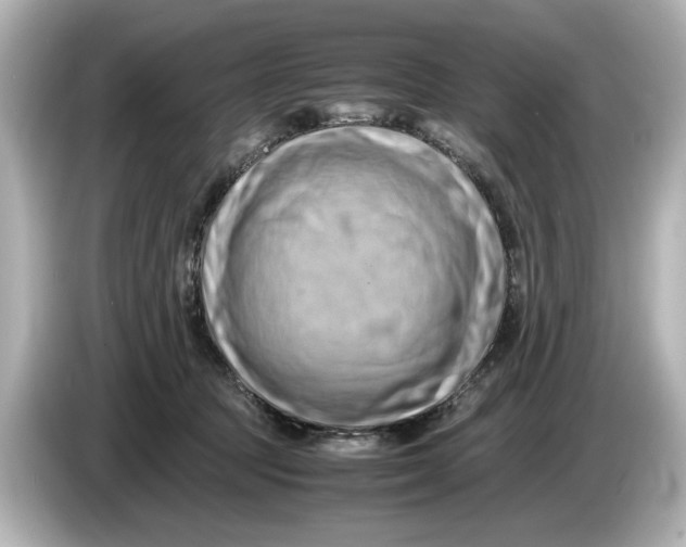 X0000085750369200704091320