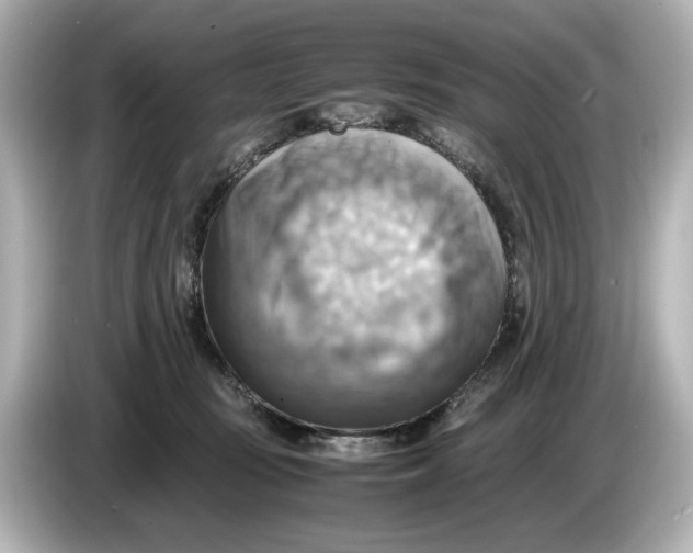 X0000085750371200704091320