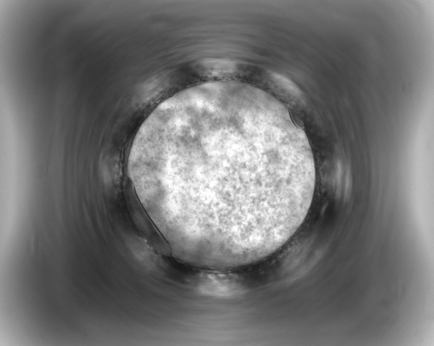 X0000085750372200704091320