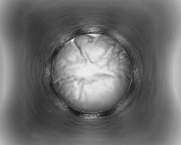 X0000085750373200704091320