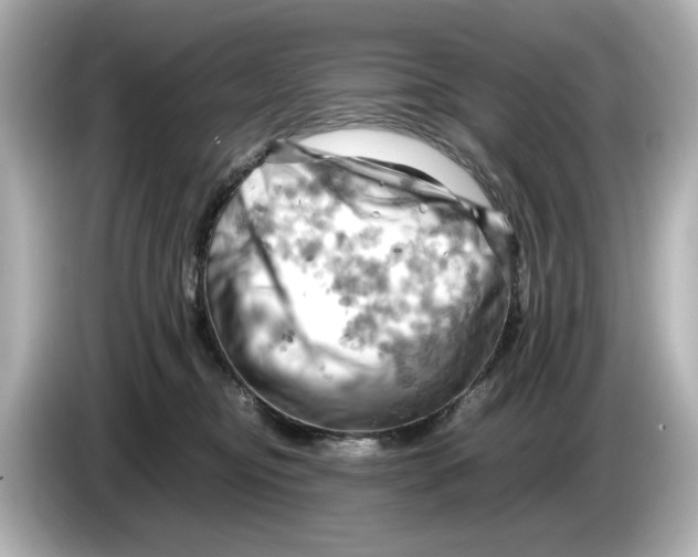 X0000085750374200704091320