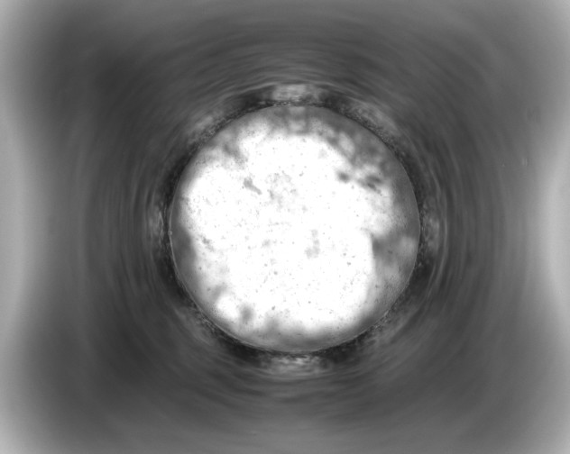 X0000085750375200704091320