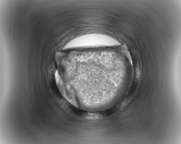 X0000085750376200704091320