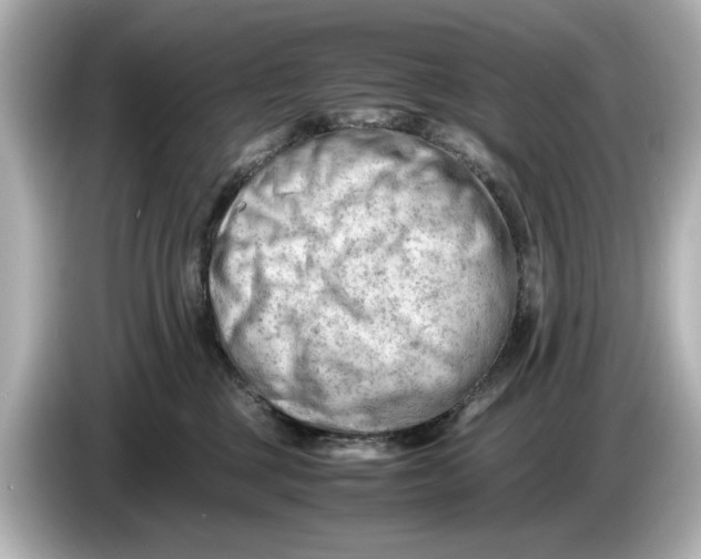 X0000085750377200704091320