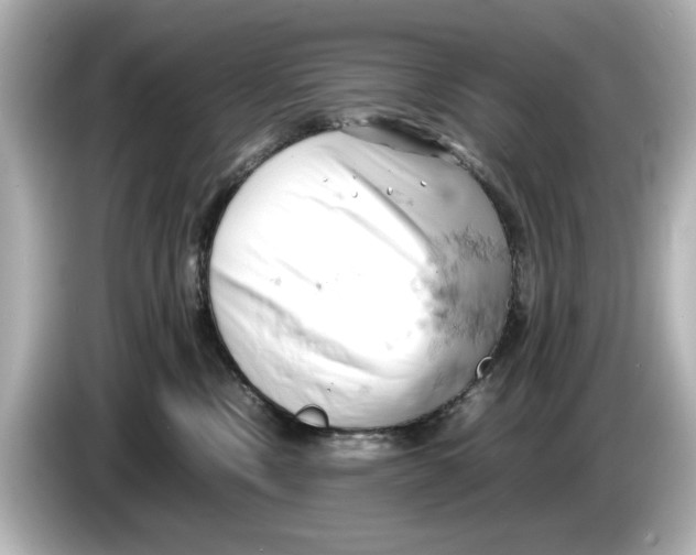 X0000085750378200704091320