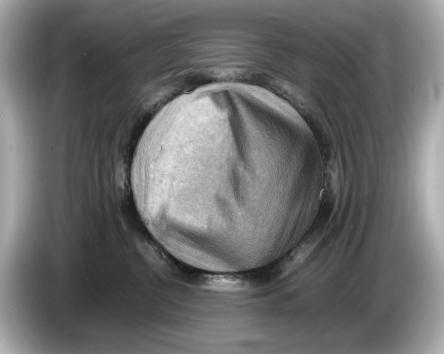 X0000085750380200704091320