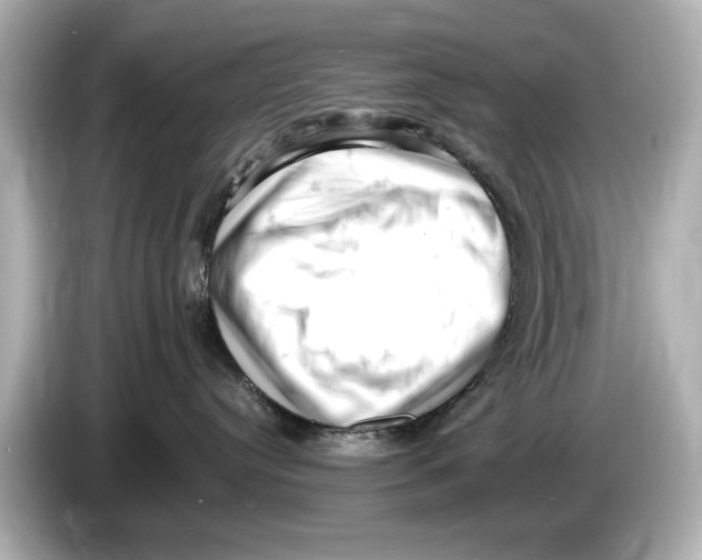 X0000085750384200704091320