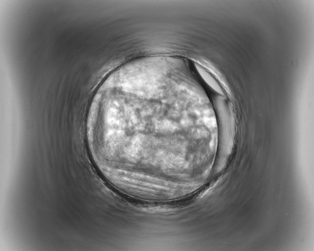 X0000085750385200704091320