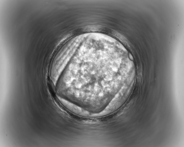 X0000085750386200704091320