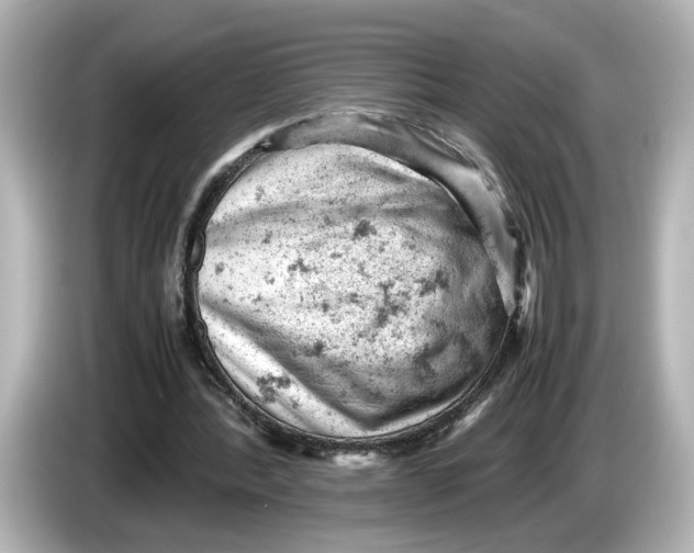 X0000085750388200704091320