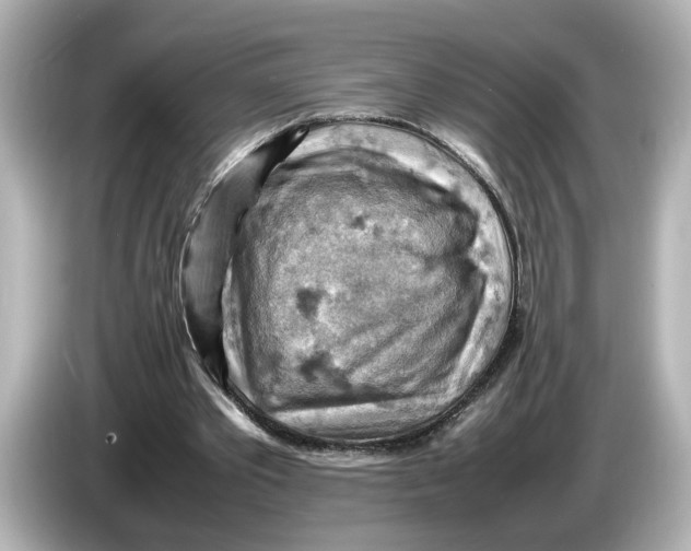 X0000085750389200704091320