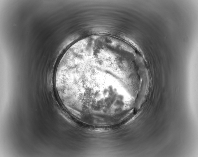 X0000085750390200704091320