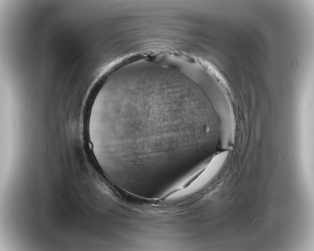 X0000085750391200704091320