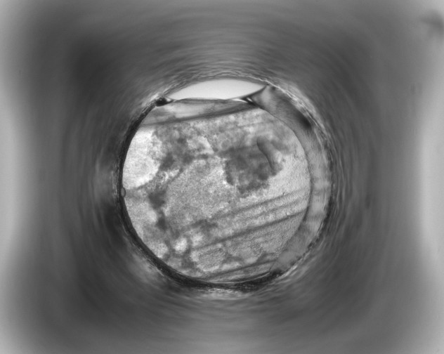 X0000085750393200704091320