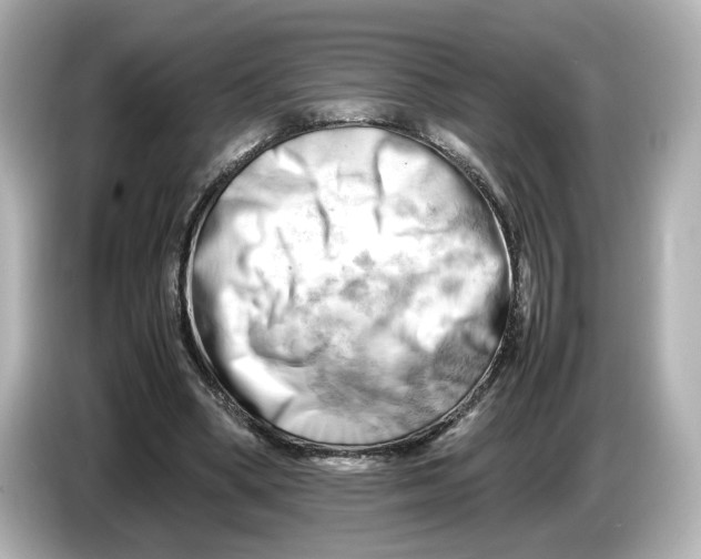 X0000085750394200704091320