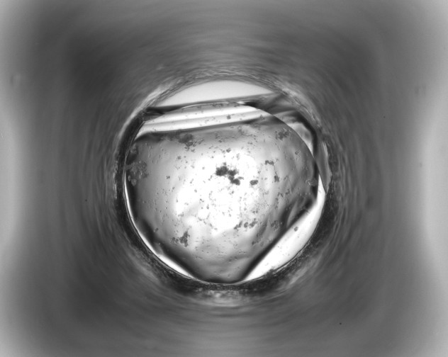 X0000085750395200704091320