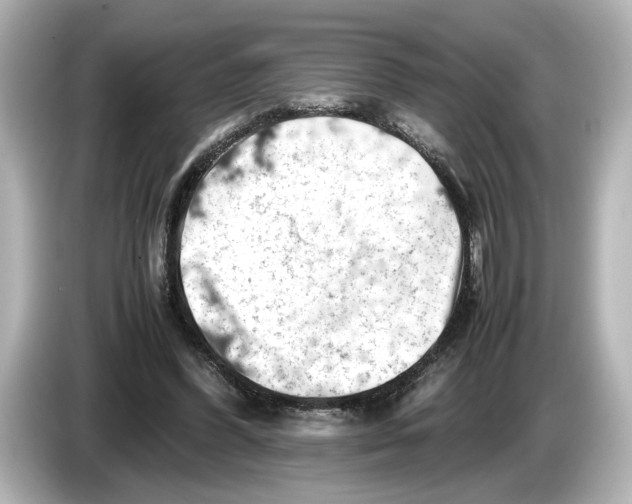 X0000085750396200704091320