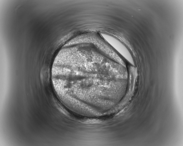 X0000085750397200704091320